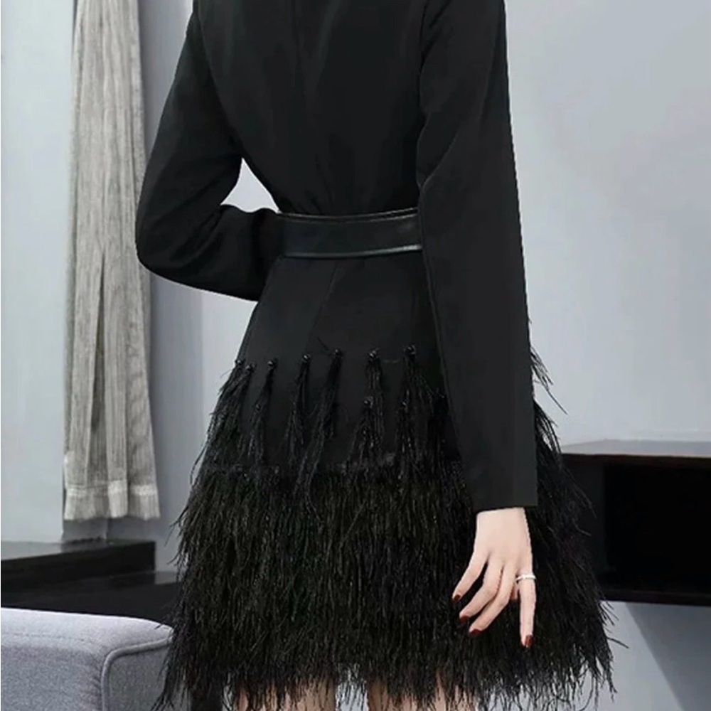 ZCRAVE Fifth Ave Feathers Dress - Picture 4 of 17